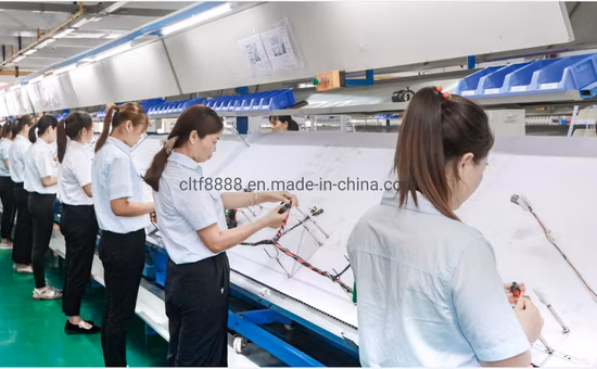 ISO9001 IATF16949 a certifié le faisceau de câblage des véhicules à moteur fait sur commande d'assemblage de câbles