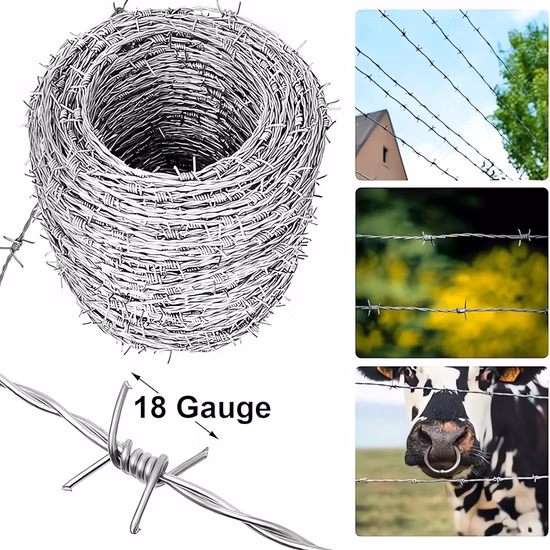 Fil barbelé de rasoir en accordéon de systèmes de sécurité